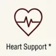 Brand tile with a heart icon and the words Heart Support with a star